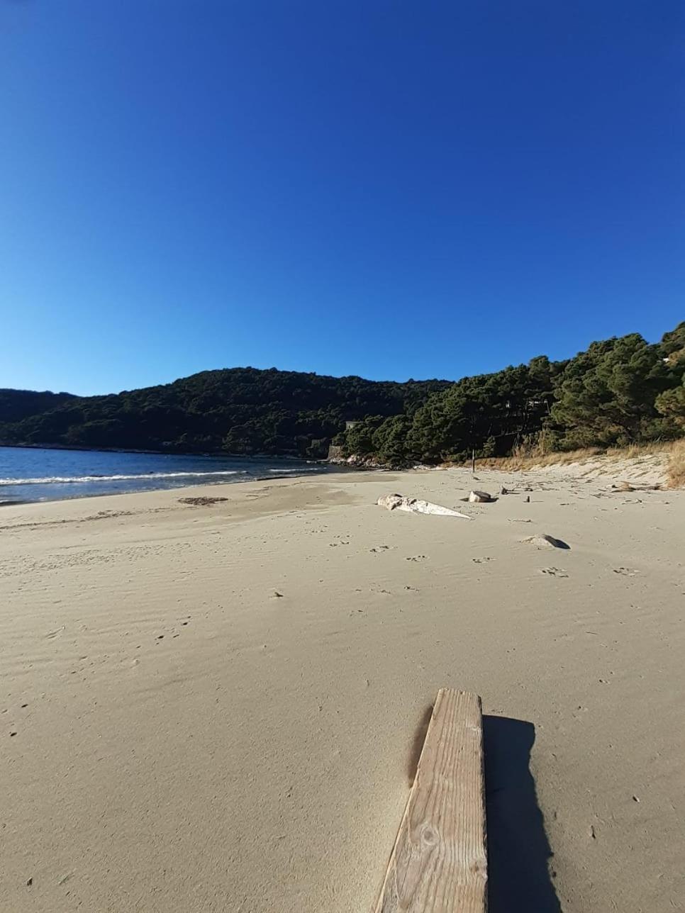 Apartment Nadine Mljet Mit Meerblick Okuklje Εξωτερικό φωτογραφία