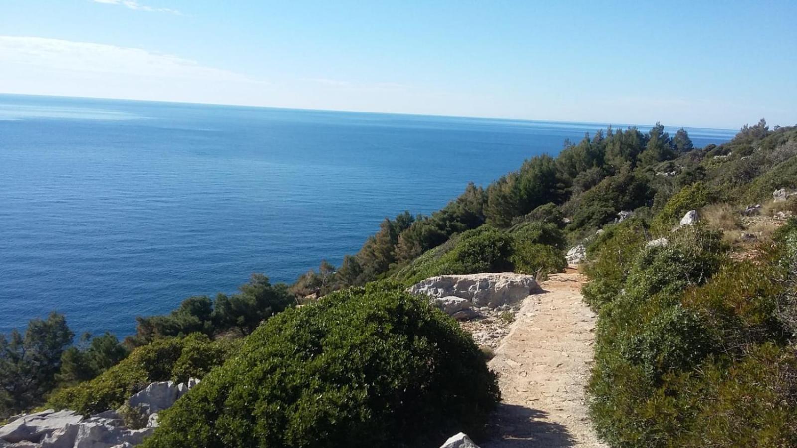 Apartment Nadine Mljet Mit Meerblick Okuklje Εξωτερικό φωτογραφία