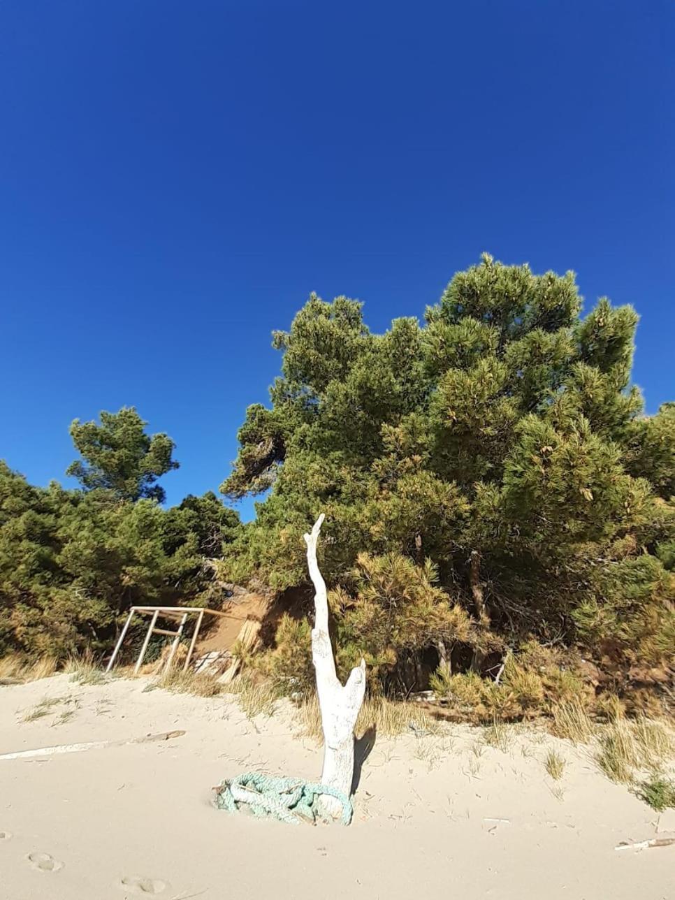 Apartment Nadine Mljet Mit Meerblick Okuklje Εξωτερικό φωτογραφία