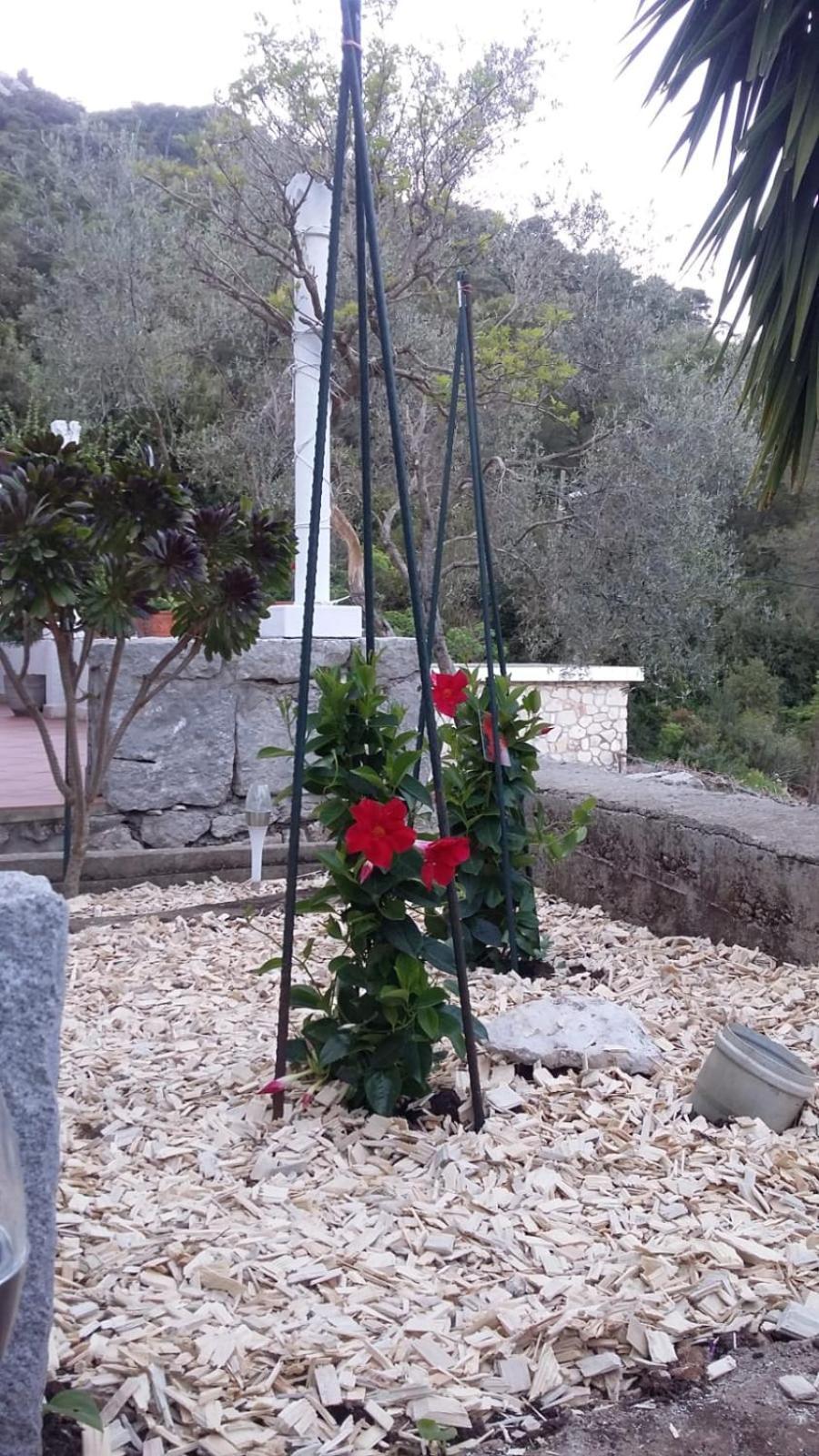 Apartment Nadine Mljet Mit Meerblick Okuklje Εξωτερικό φωτογραφία