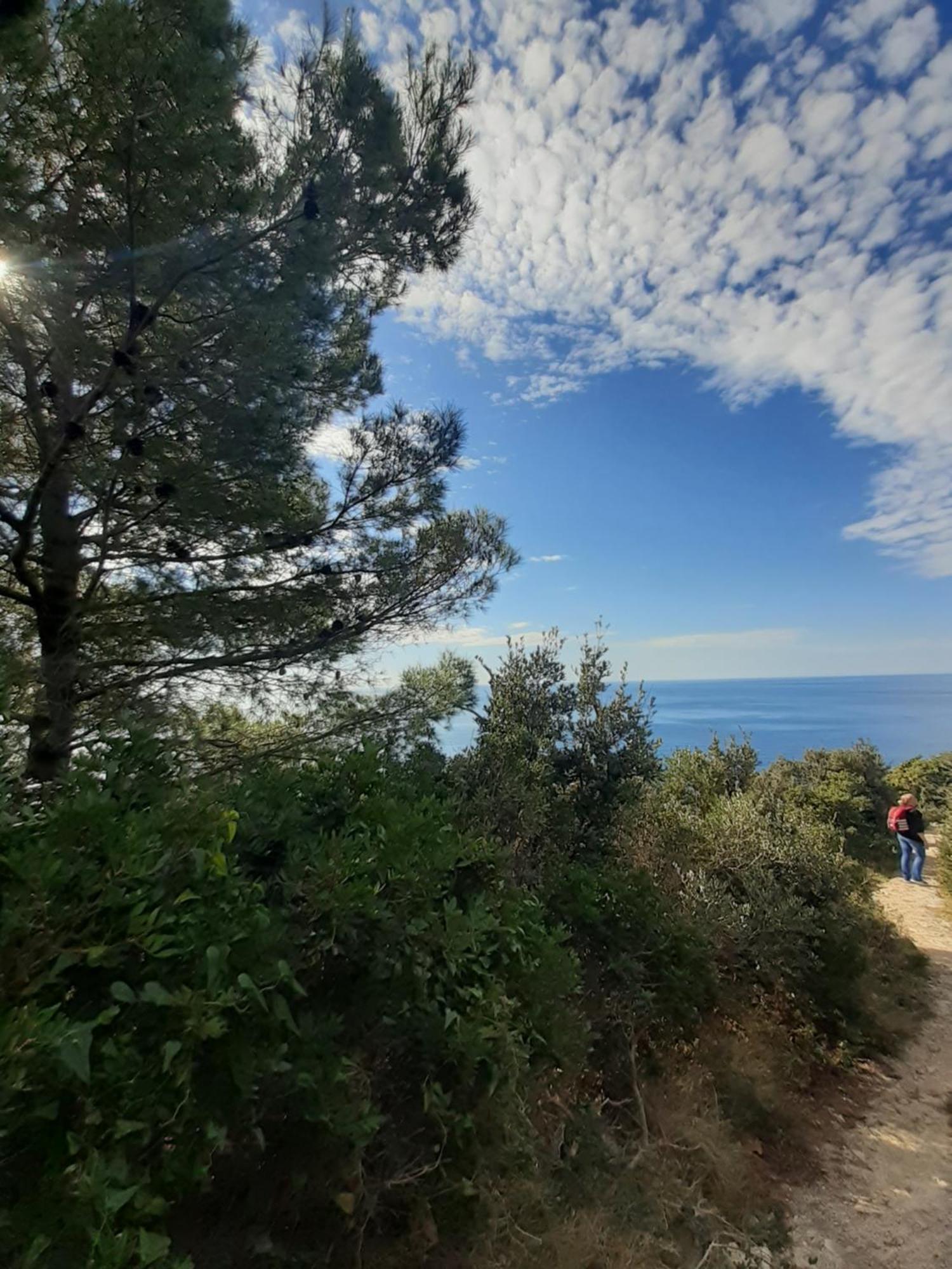 Apartment Nadine Mljet Mit Meerblick Okuklje Δωμάτιο φωτογραφία